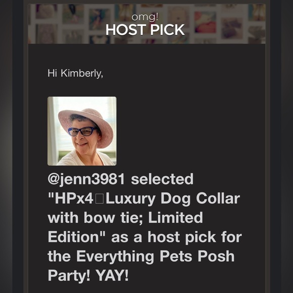 ๐พLuxury Dog Collar with Bow Tie ~ Limited Edition ~ Pets ~ OSFM ~Host Pick x9 - Picture 10 of 15